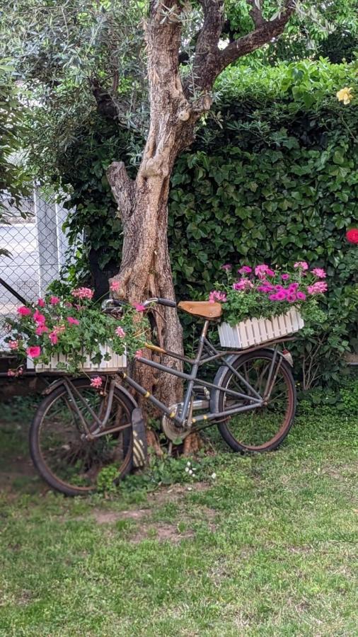 ורונה Bed & Breakfast Agli Aceri מראה חיצוני תמונה